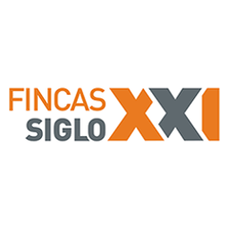 FINCAS SIGLO XXI